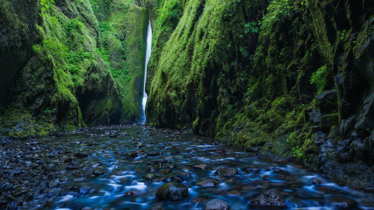Oneonta Gorge, OR