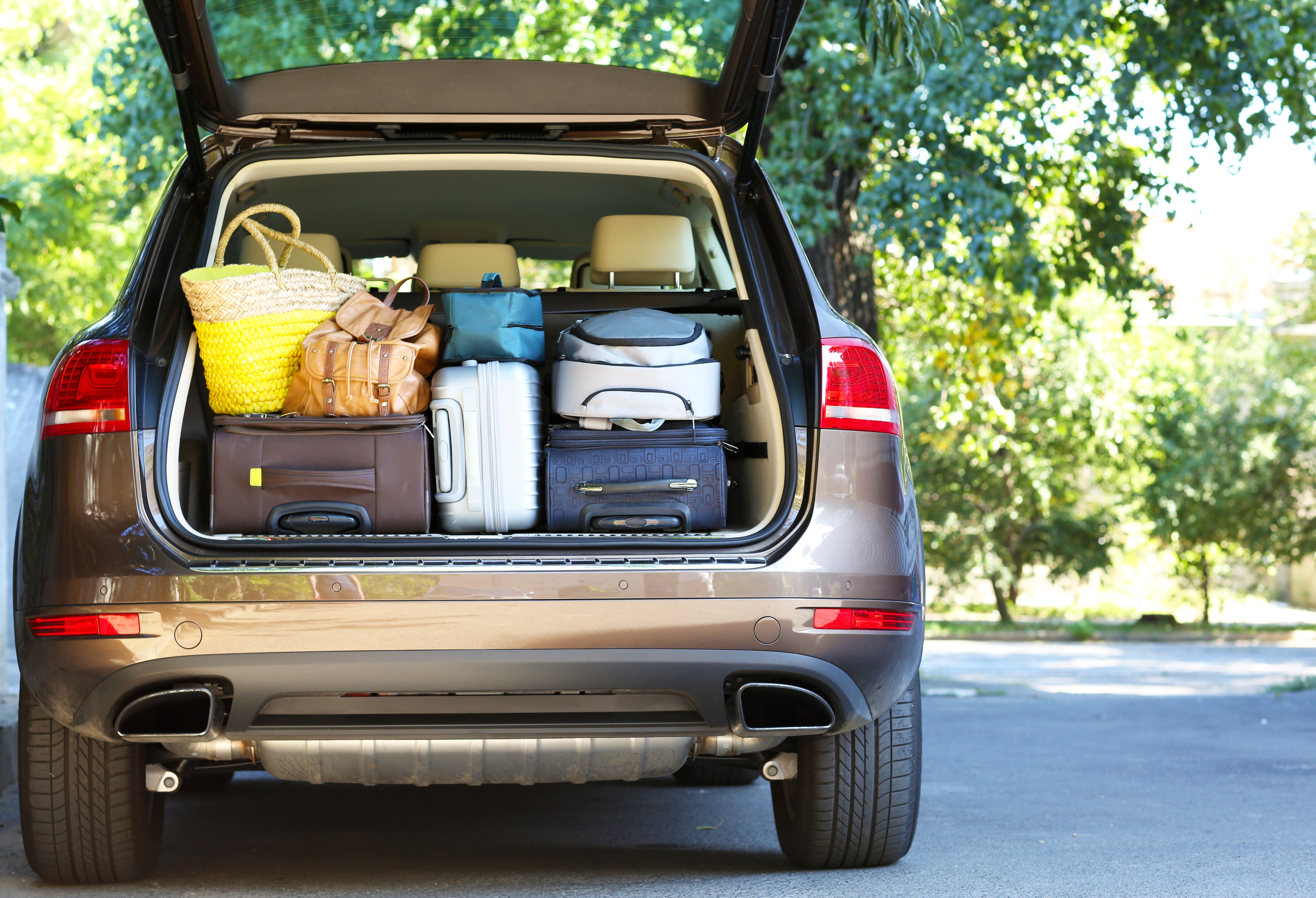 luggage for road trip