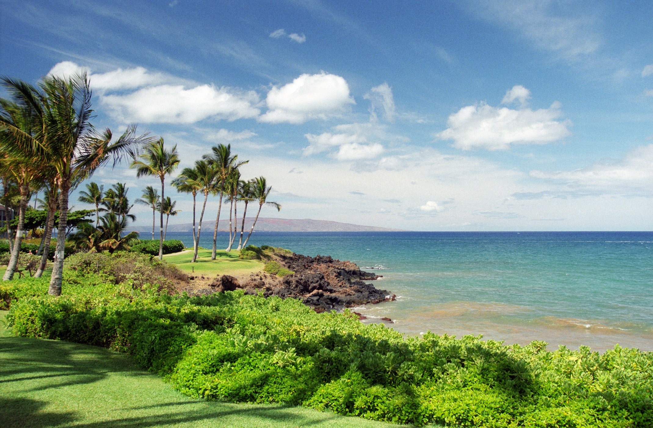 Hawaii-beach