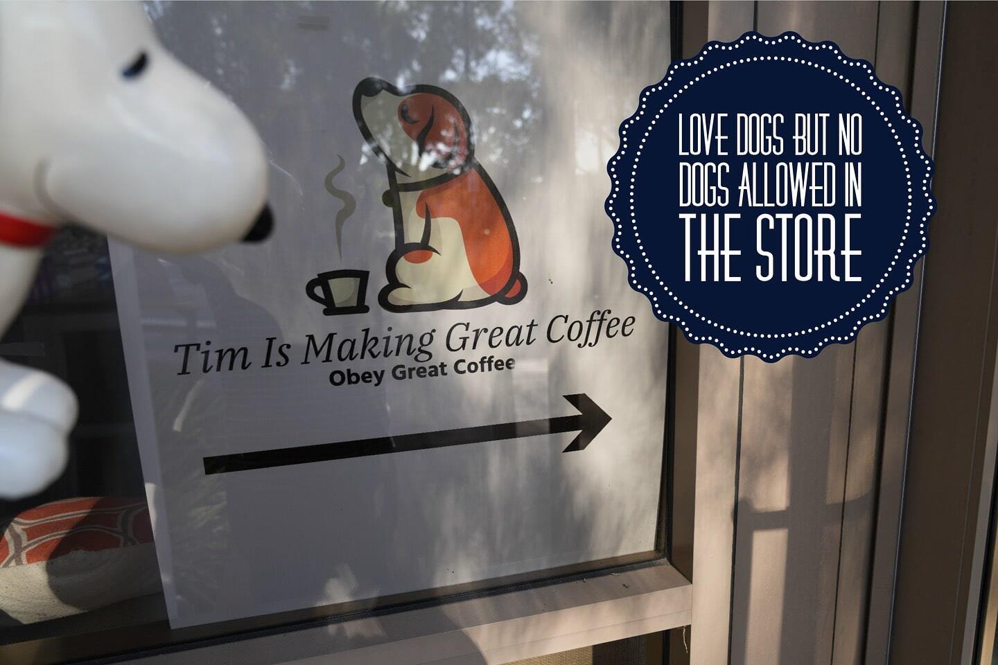 Tims coffee-min