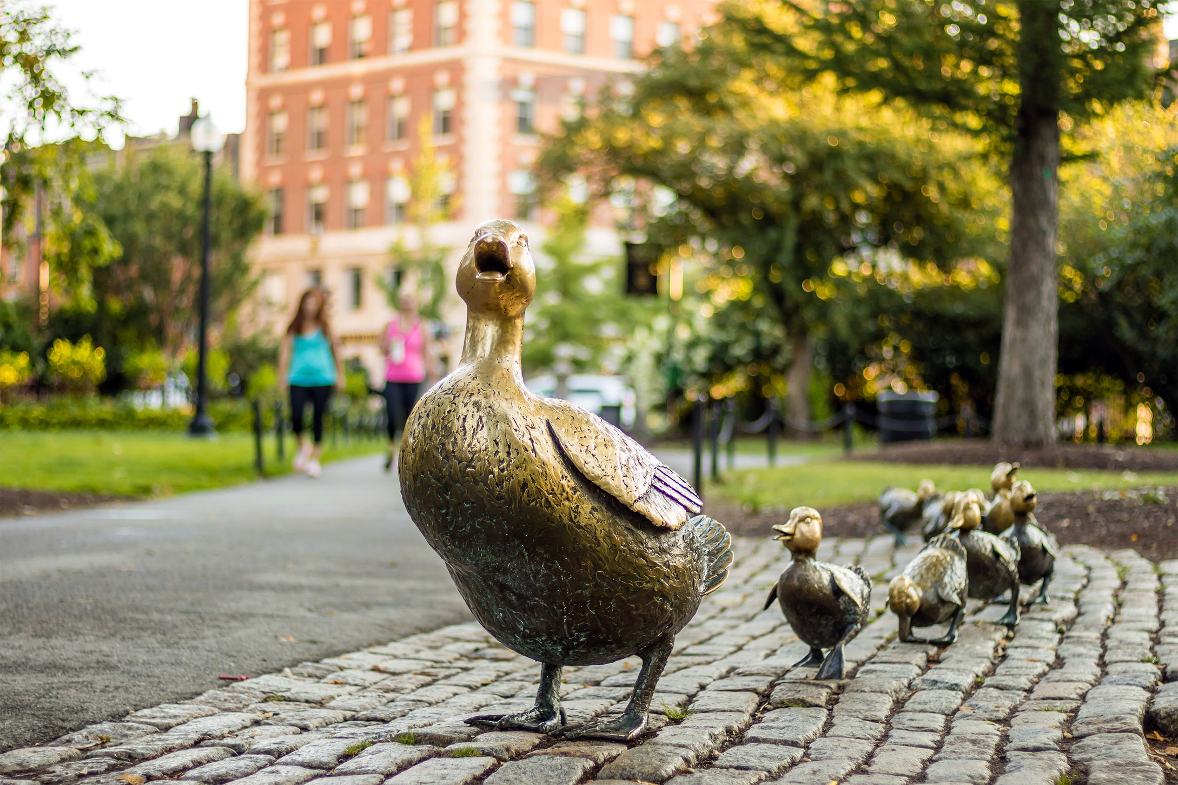 Boston-Public-Garden